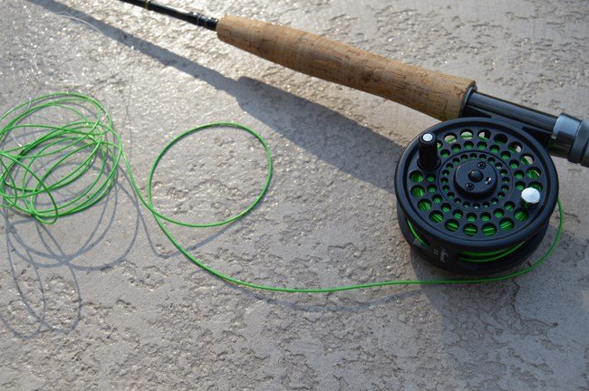 Fishing Reel with rod