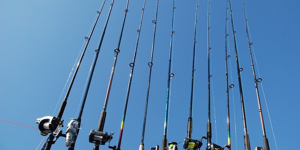 Different Types Of Fishing Rods Explained Outdoorstack