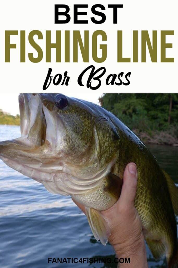 Best Fishing Line for Bass
