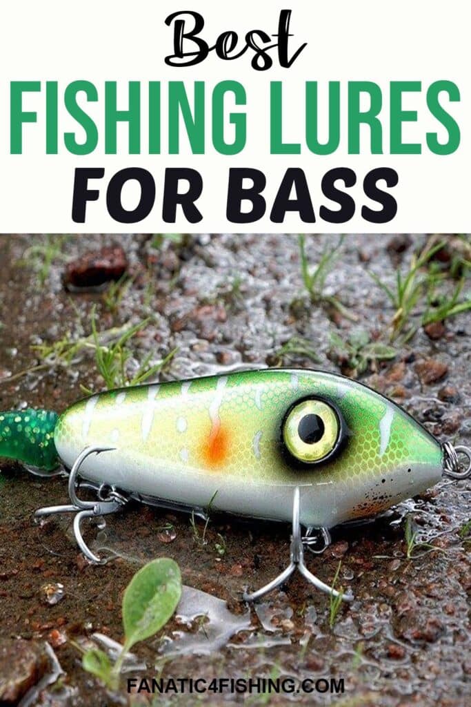 Best Fishing Lures for Bass