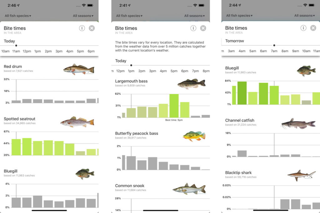 Fishing Reports and Forecasts Make the Most Out of the Information