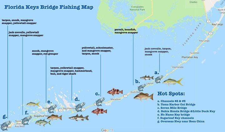 fishing map