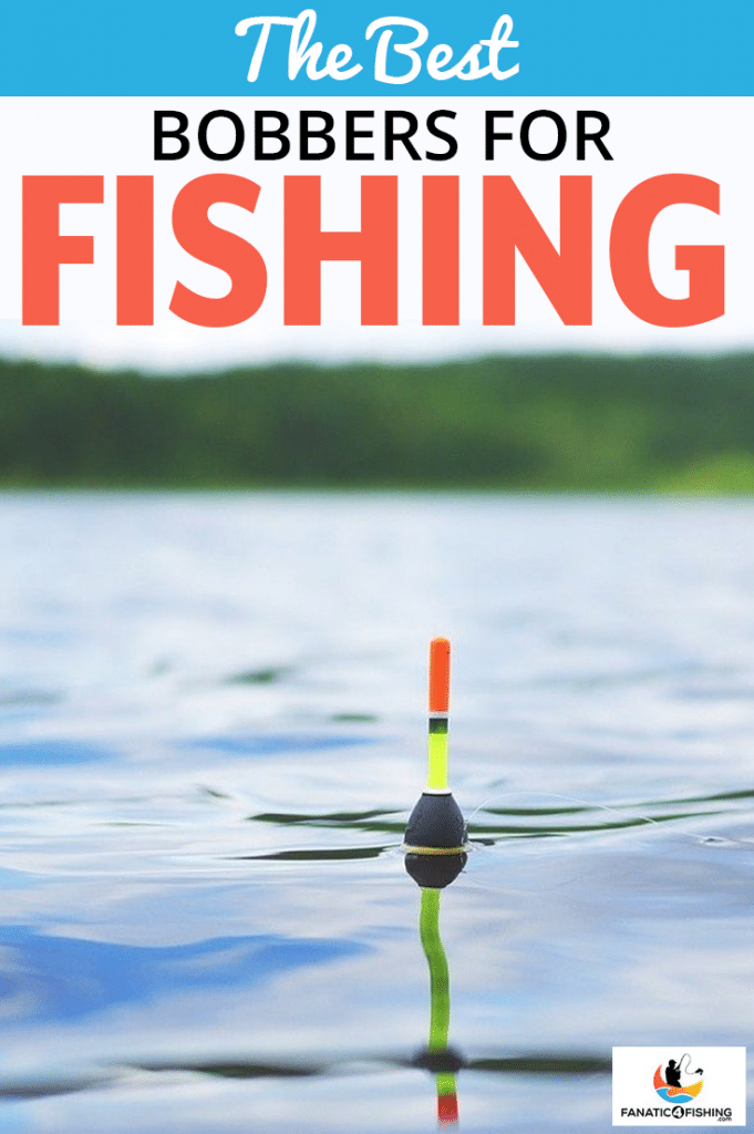 cover image of The Best Bobbers For Fishing