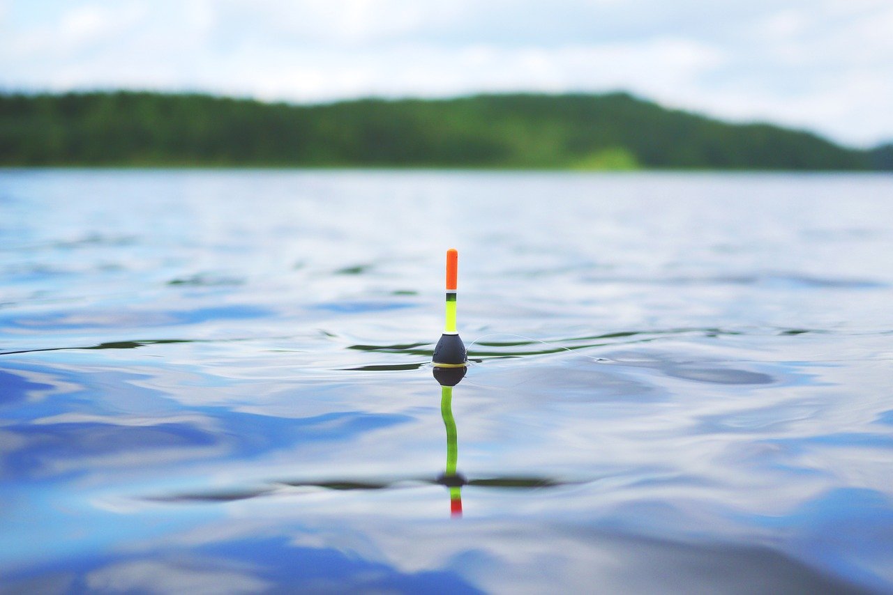 Fish Bobber floating on waters