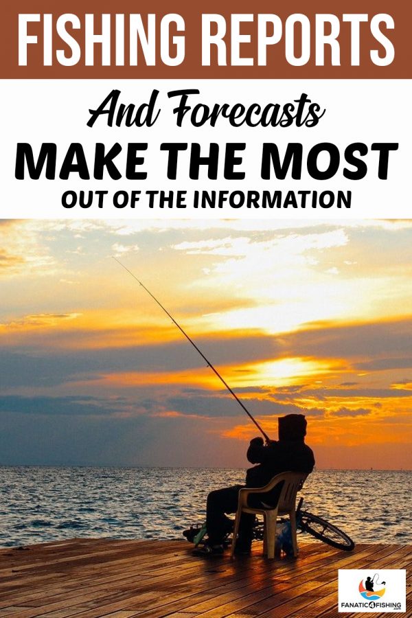 Fishing Reports And Forecasts - Make The Most Out Of The Information