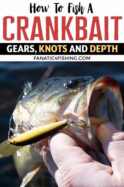 How to Fish a Crankbait - Gears, Knots and Depth