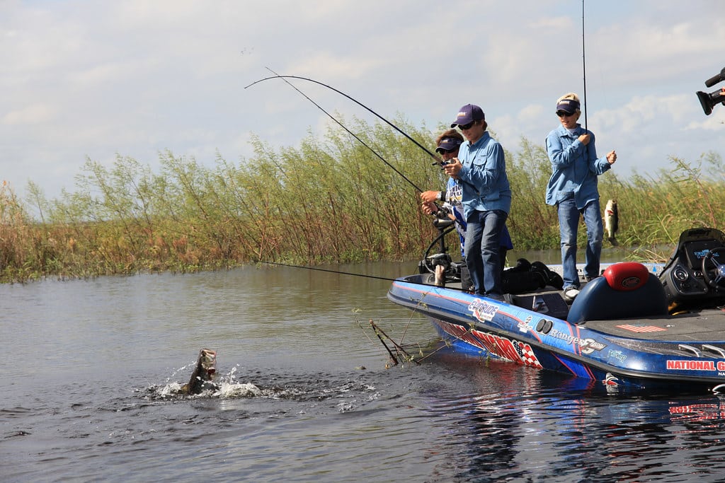 bass fishing season