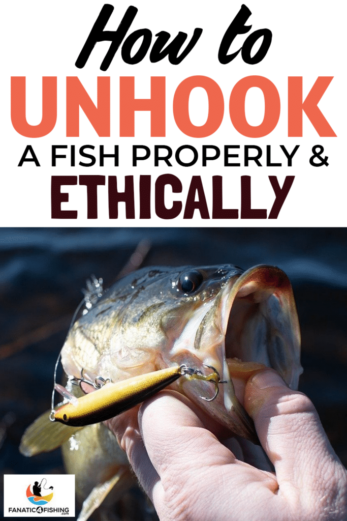 How-to-Unhook-a-Fish-Properly-&-Ethically