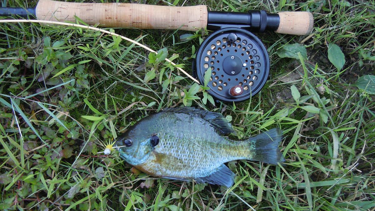 Rod And Reel For Panfish
