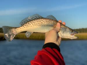 Speckled Trout Rod Reel fi