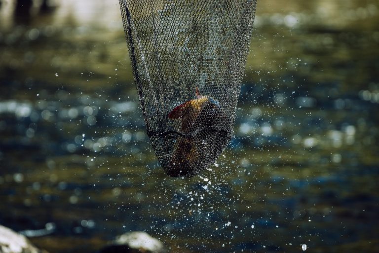 What Are Fishing Nets Made Of? Fanatic4Fishing