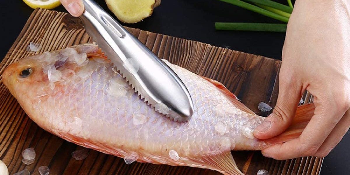 Top 5 Fish Scaler Review - Why Make a Mess? - Fanatic4Fishing