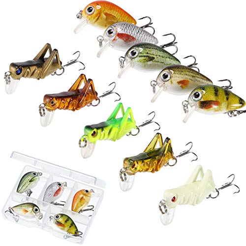 Product image of fishing-crankbaits-topwater-freshwater-saltwater-b08w53qz4x