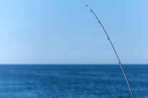 fanatic4fishing.com : saltwater fishing rod and reel combo