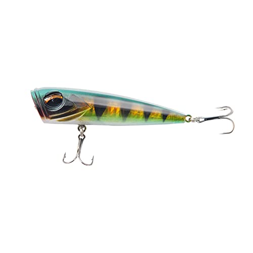 Product image of topwater-popper-saltwater-fishing-offshore-b0bbcfvbmx