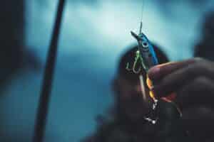 fanatic4fishing.com : What is the number 1 bait for bass?