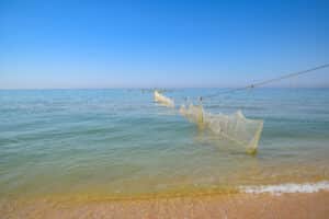 fanatic4fishing.com : Do you need a fishing license to use a cast net in Florida?