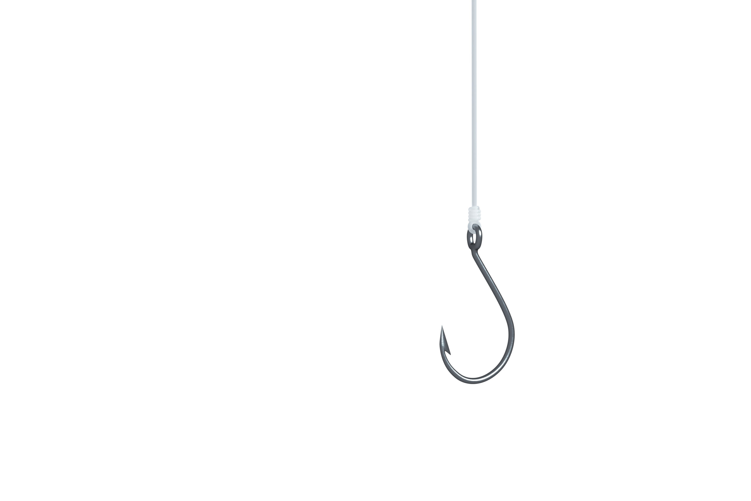 fanatic4fishing.com : How do you keep live bait alive on a hook?