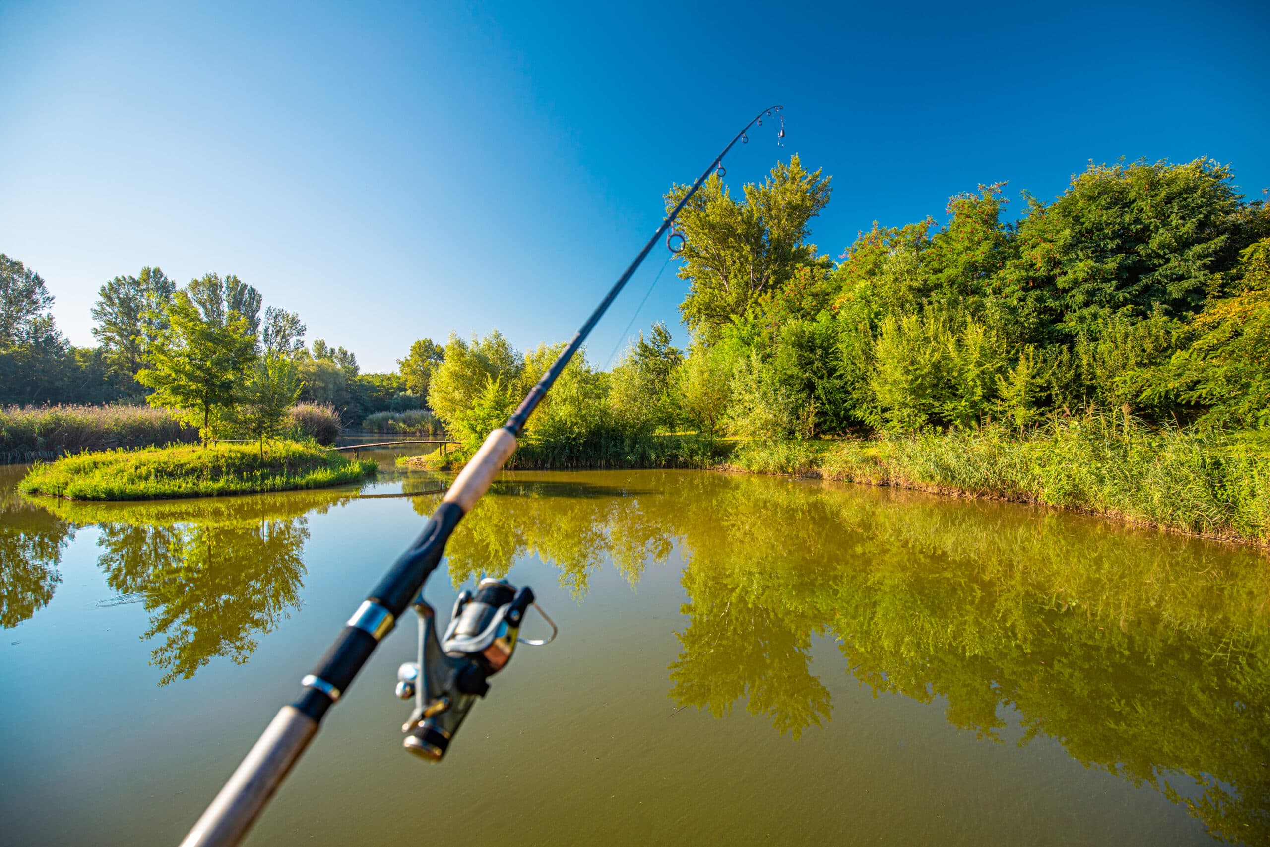 fanatic4fishing.com : What does 2500 mean on a fishing reel?