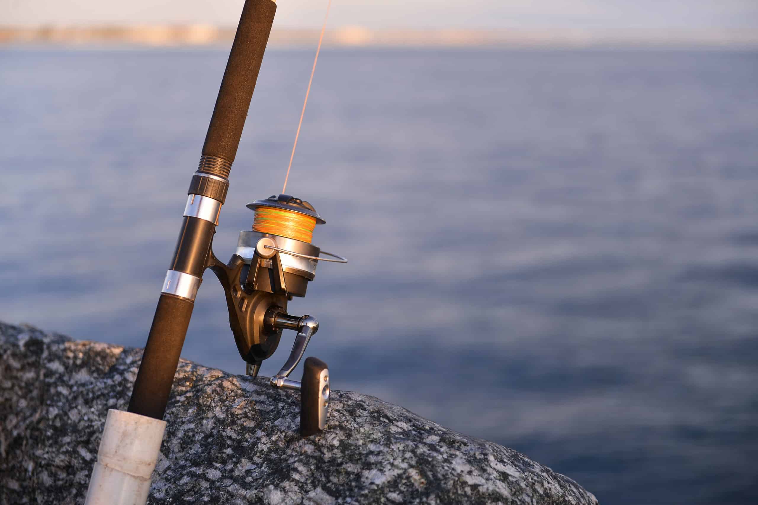 fanatic4fishing.com : What is a spinning rod good for?