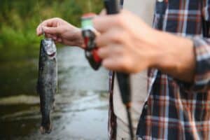 fanatic4fishing.com : What is the best time of day to fish for trout?
