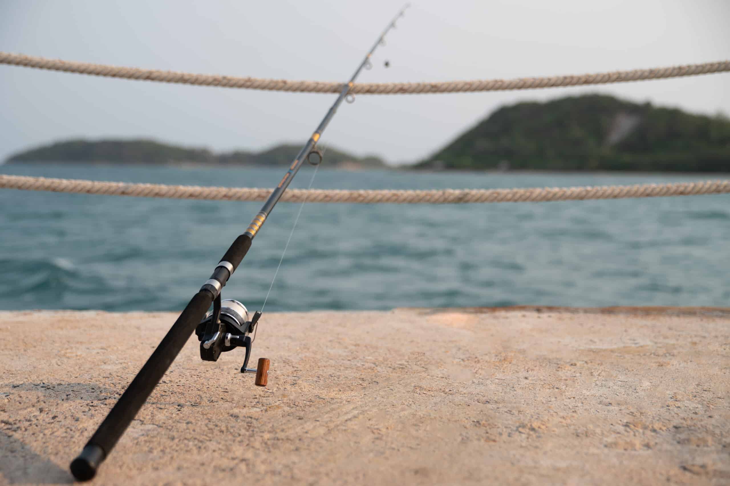 fanatic4fishing.com : What size rod and reel for pier fishing?